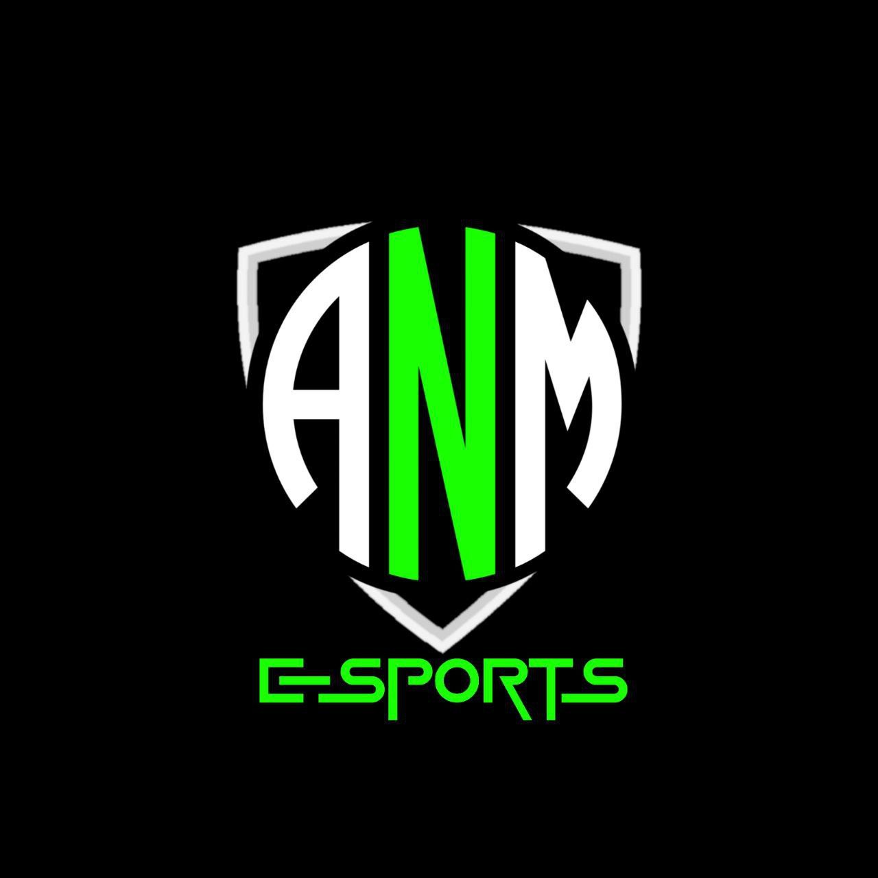 ANM ESPORTS Logo